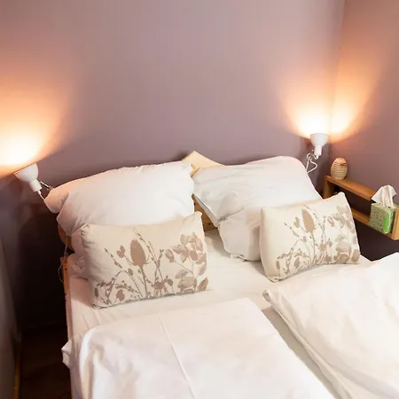 Altstadt Am Dom Wetzlar, 1 Zi, Kueche, Bad Mit Parkplatz & Wlan * Wetzlar